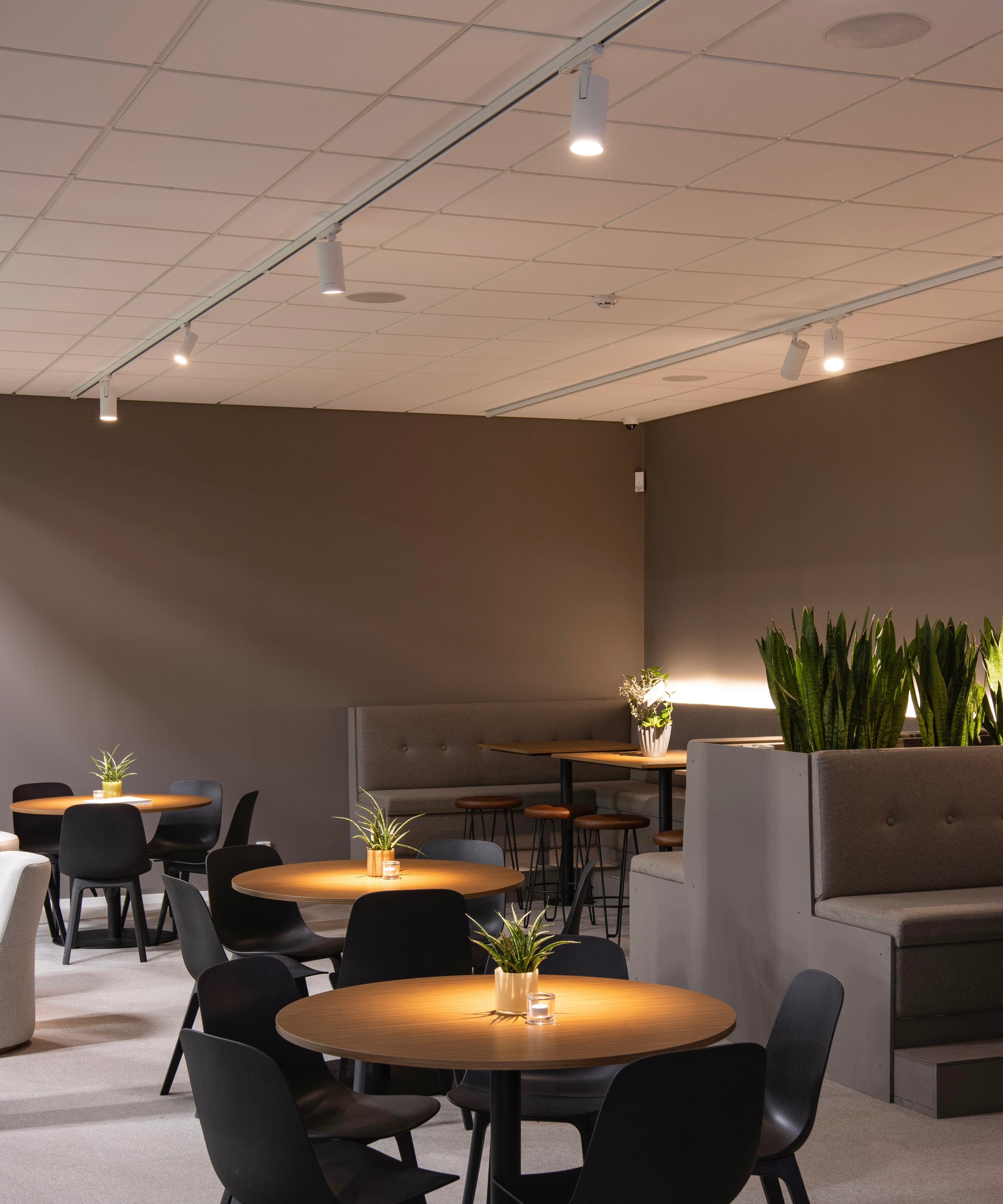 Belysning för offentlig miljö