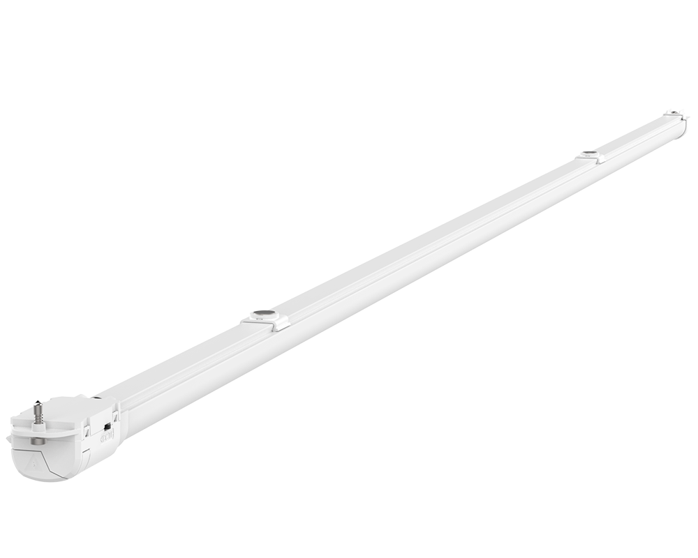 7026915_VI_1.png