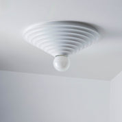 CO Bankeryd - Loop 45 ceiling